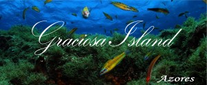 HeaderGraciosa