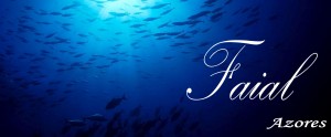 Header Faial